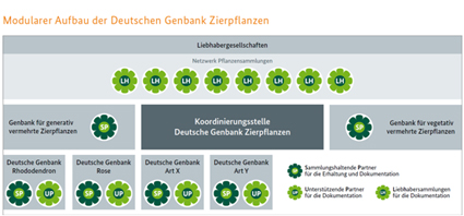 Deutsche Genbank Zierpflanzen