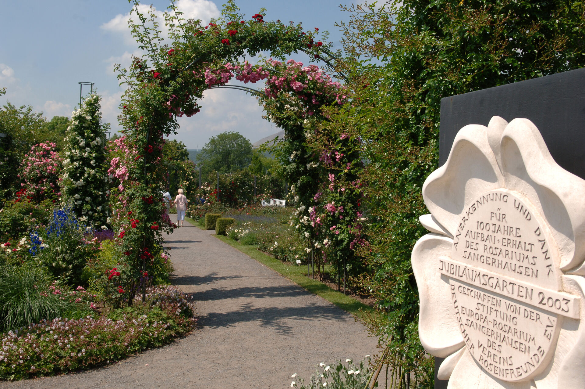 Der Jubiläumsgarten wurde 2003, anlässlich des 100-jährigen Geburtstags des Rosariums, angelegt.
